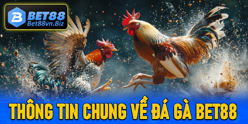 Thông tin chung về đấu trường cá cược đá gà Bet88