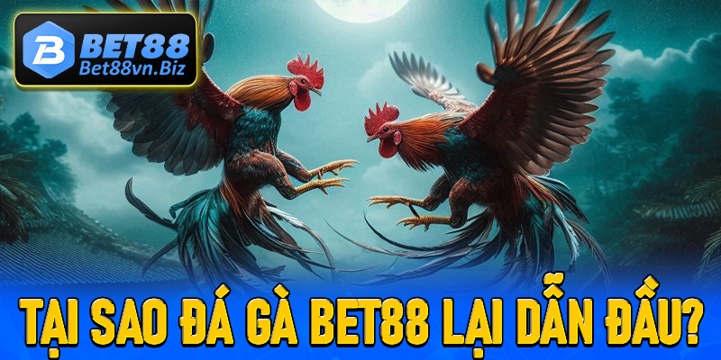 Tại sao sàn đá gà Bet88 lại vươn lên dẫn đầu tại Việt Nam?