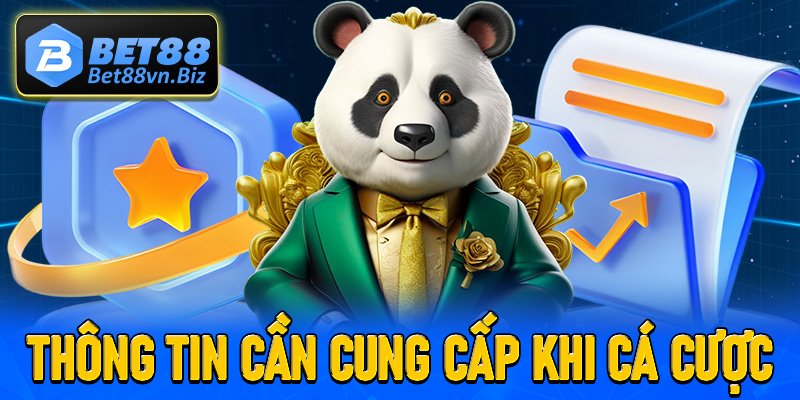 Thông tin cá nhân hội viên cần cung cấp khi tham gia cá cược