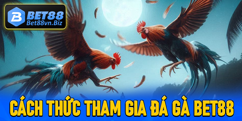 Chỉ tận tay các bước đơn giản để tham gia đá gà Bet88
